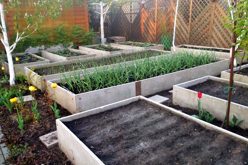 Грядки из ЦСП - статья о применении строительных материалов от интернет-магазина «Стратегия и Паритет» Грядки из ЦСП